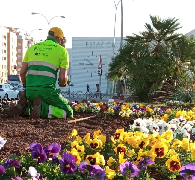 Parques y jardines 1