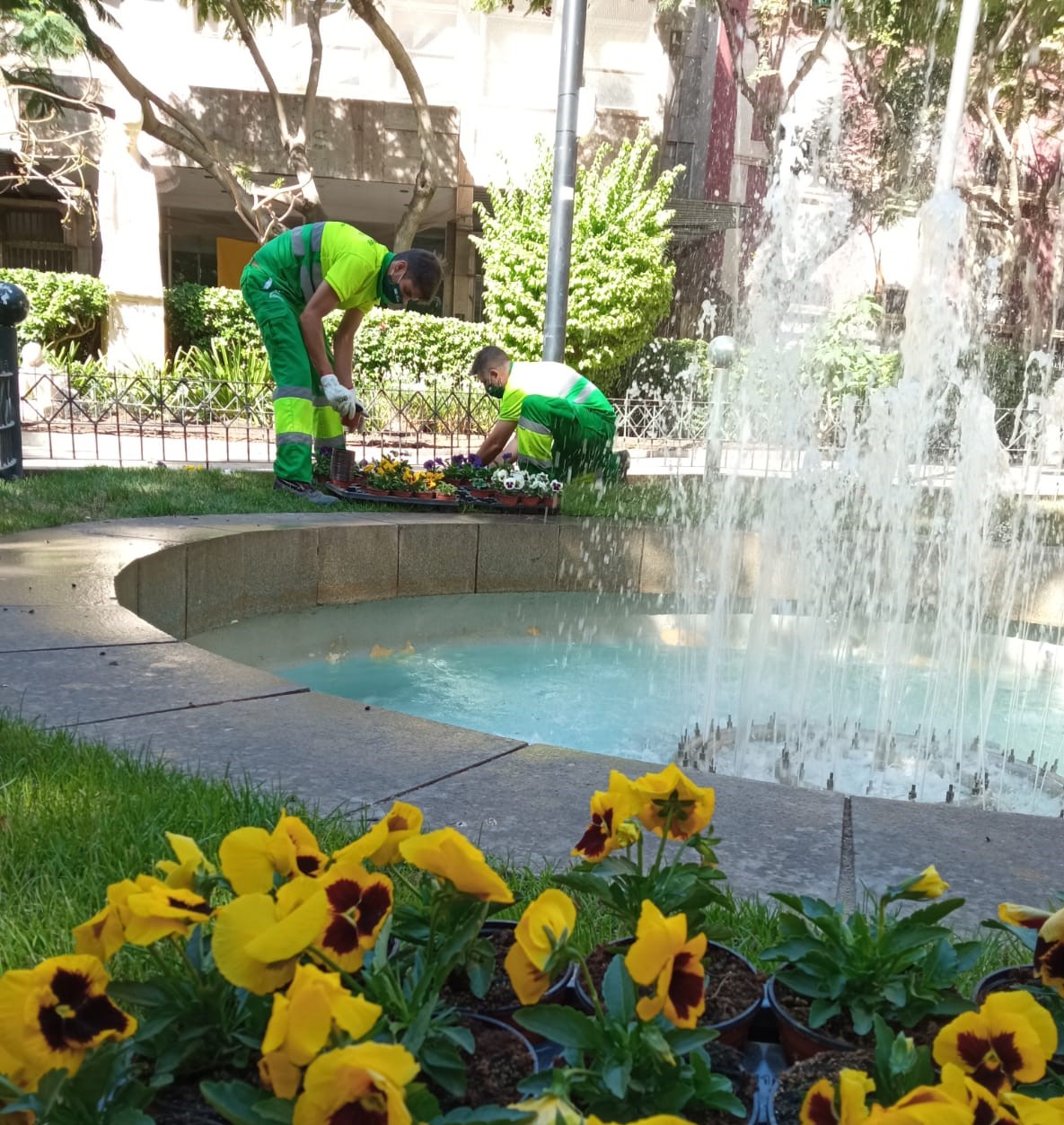 Parques y jardines 3